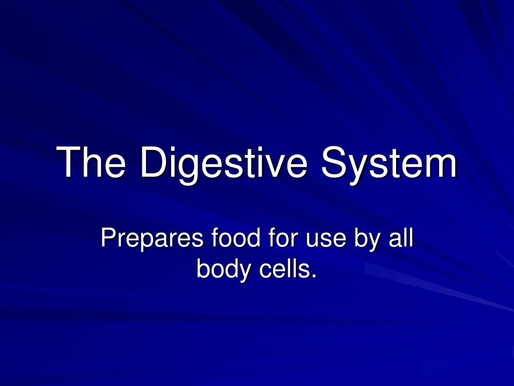 the digestive system