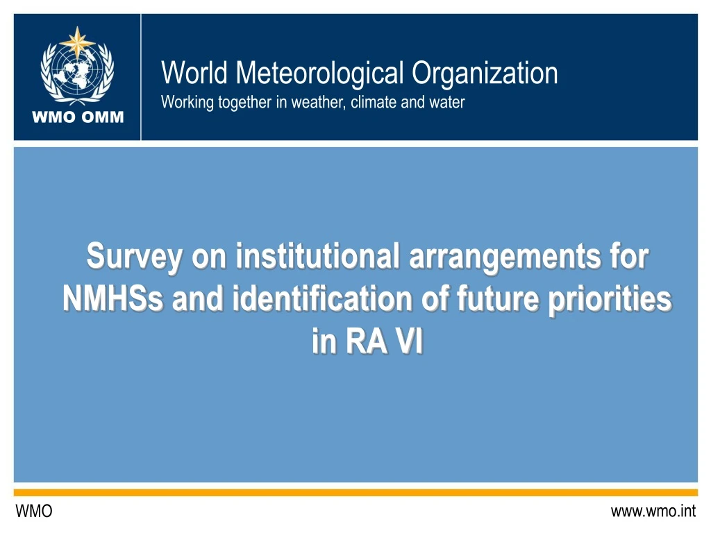 survey on institutional arrangements for nmhss and identification of future priorities in ra vi