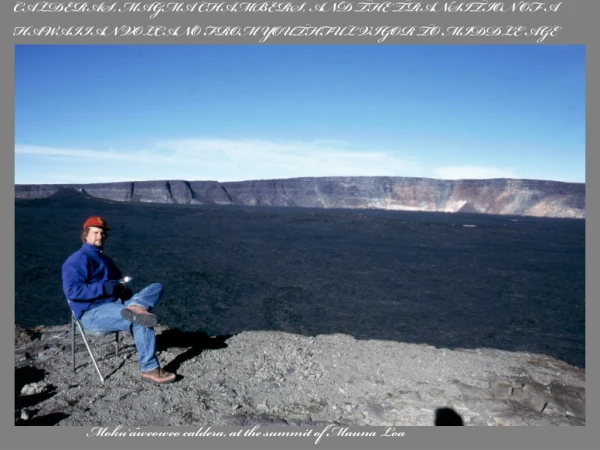 Moku‘aweoweo caldera, at the summit of Mauna Loa