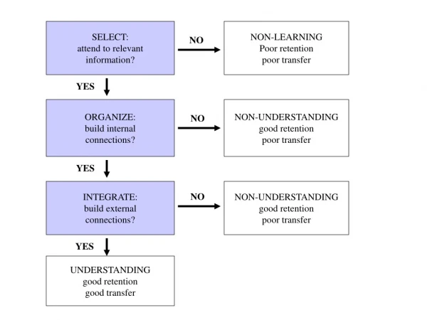 Types of Learners