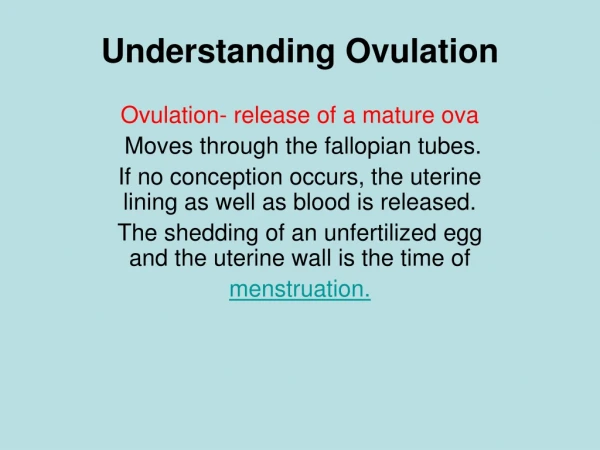 Understanding Ovulation