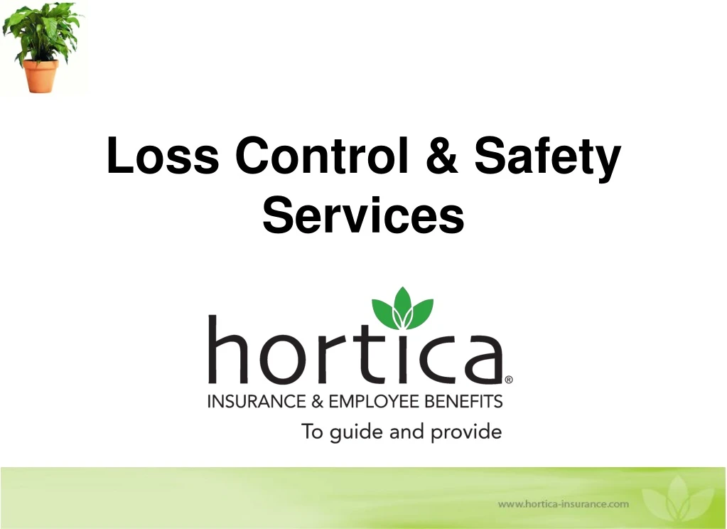 loss control safety services