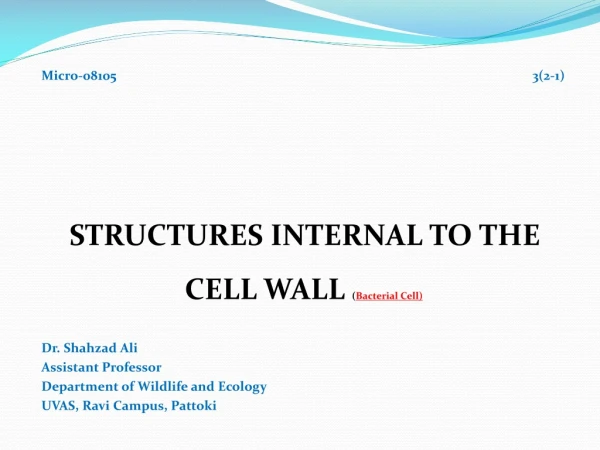 Micro-08105 3(2-1) STRUCTURES INTERNAL TO THE CELL WALL  ( Bacterial Cell) Dr. Shahzad Ali