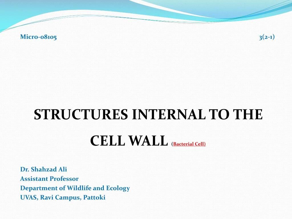 micro 08105 3 2 1 structures internal to the cell