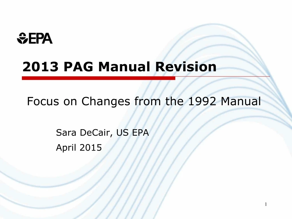 2013 pag manual revision