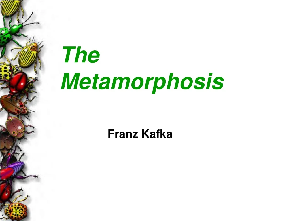 the metamorphosis