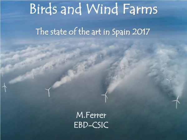 Birds and Wind  Farms The state of the art in Spain 2017