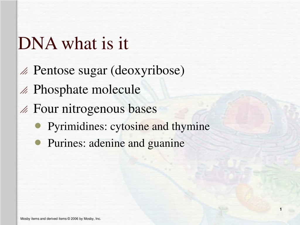 dna what is it