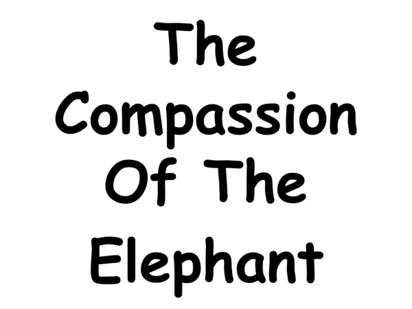 The Compassion Of The Elephant