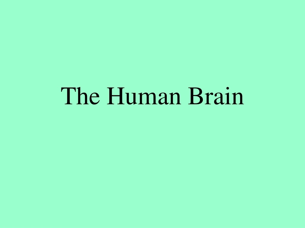 the human brain