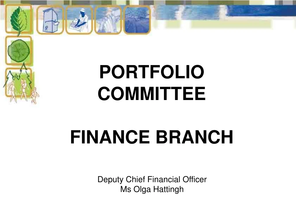 portfolio committee finance branch