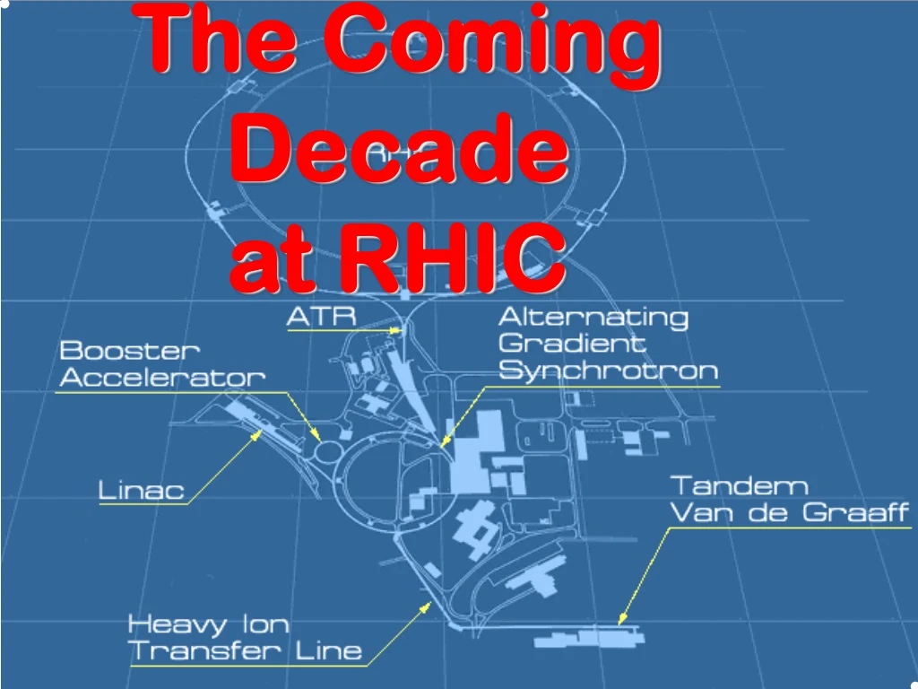 the coming decade at rhic