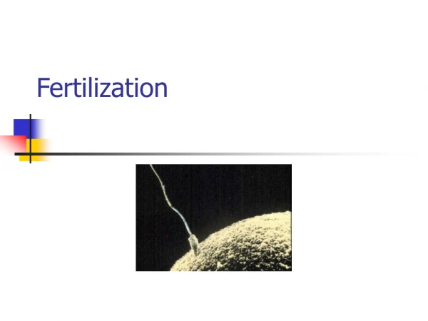 Fertilization