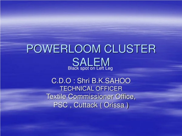 POWERLOOM CLUSTER SALEM
