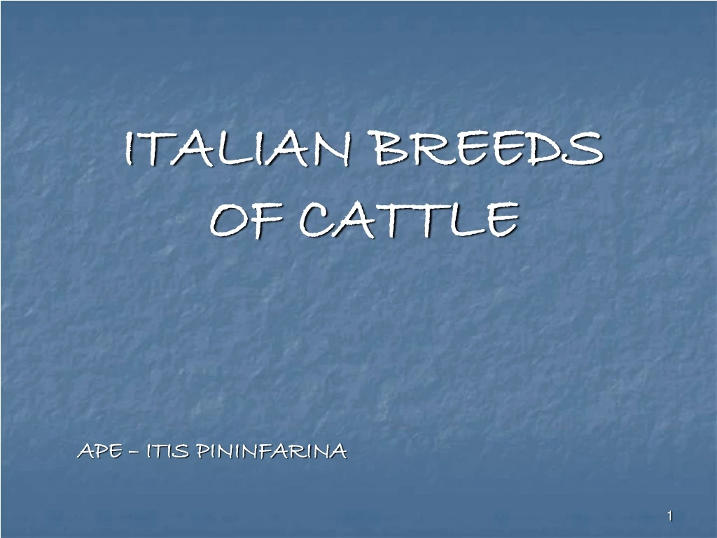 italian breeds of cattle