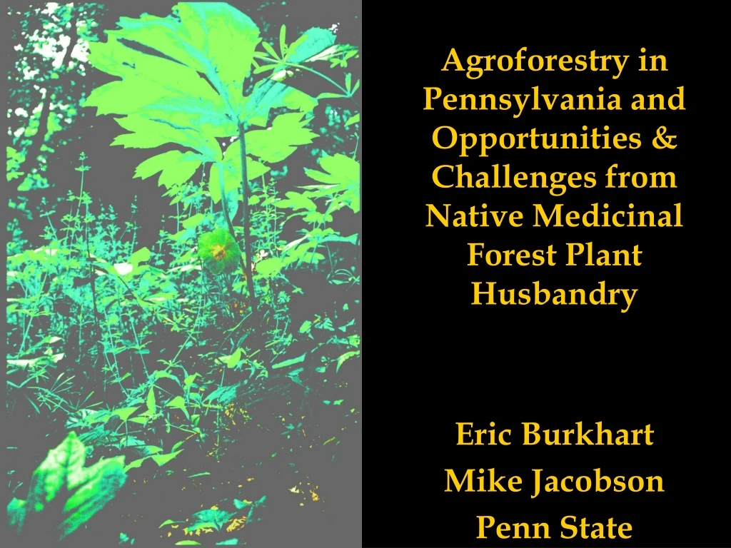 agroforestry in pennsylvania and opportunities