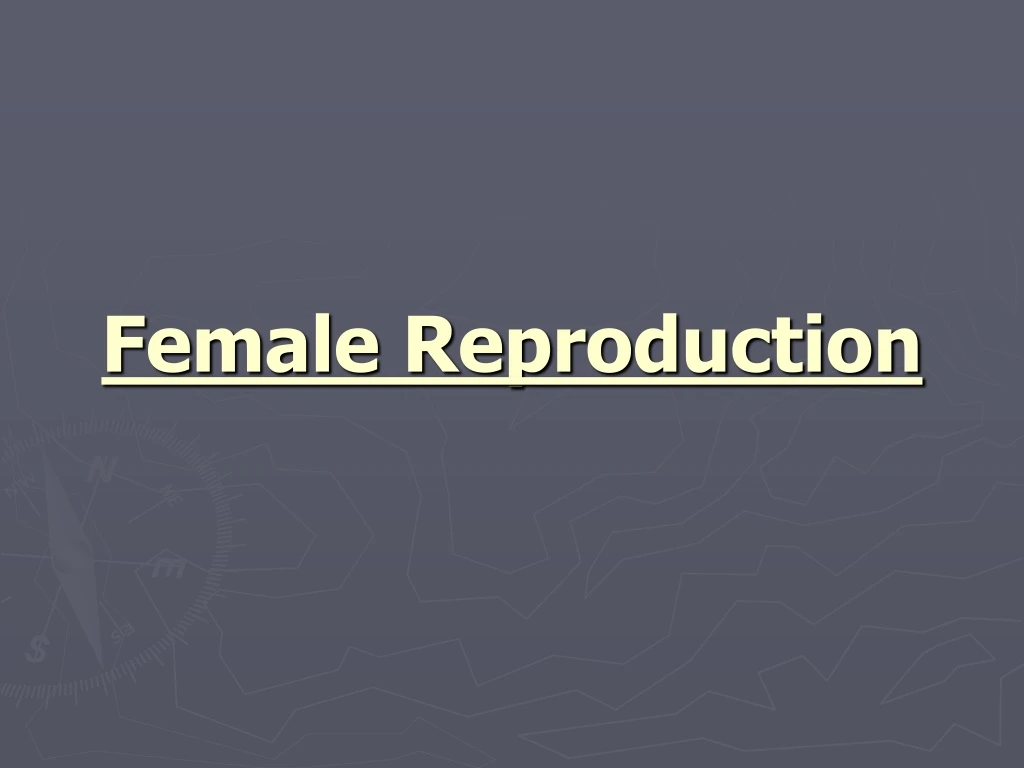 female reproduction