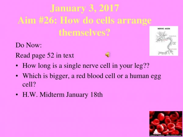 January 3, 2017 Aim #26: How do cells arrange themselves?
