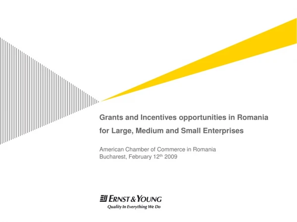 Grants and Incentives opportunities in Romania for Large, Medium and Small Enterprises