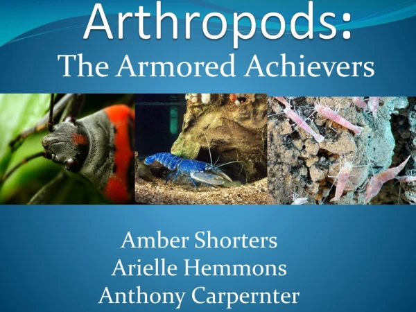 Arthropods :