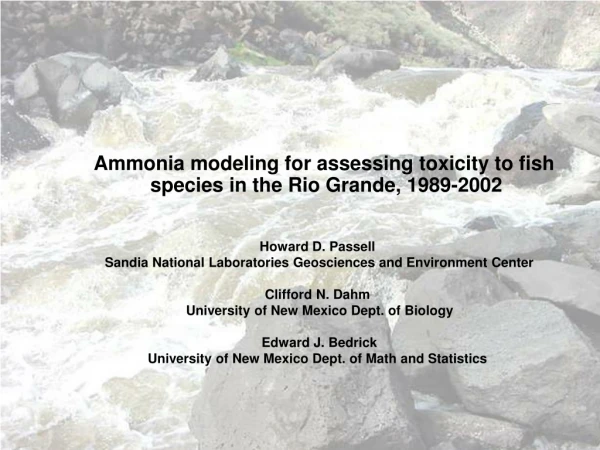 Ammonia modeling for assessing toxicity to fish species in the Rio Grande, 1989-2002