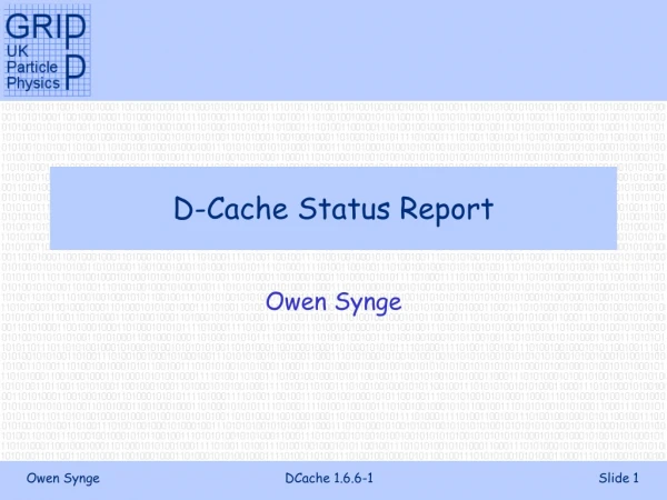 D-Cache Status Report
