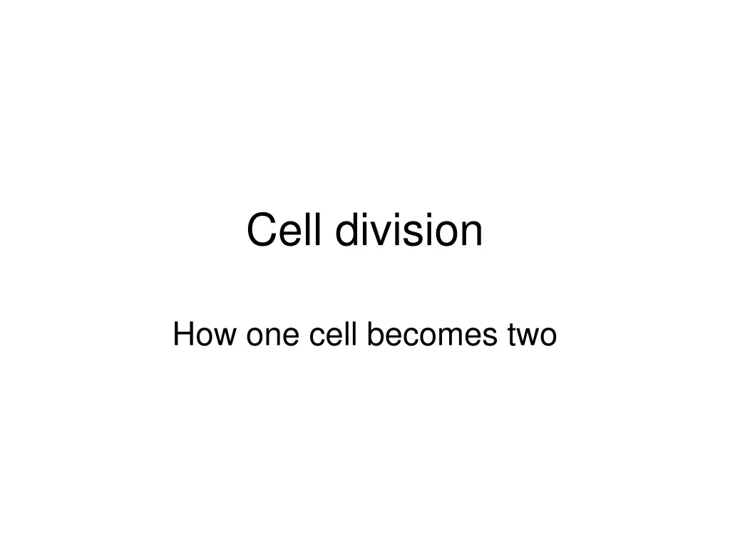 cell division