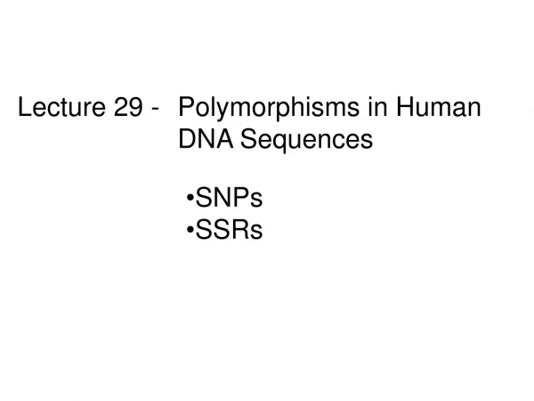 Lecture 29 -	Polymorphisms in Human  			DNA Sequences
