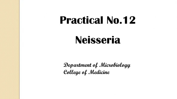 Practical No.12 Neisseria