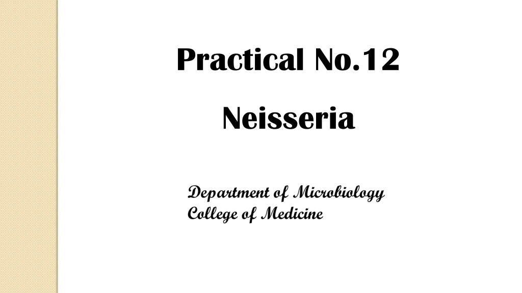 practical no 12 neisseria
