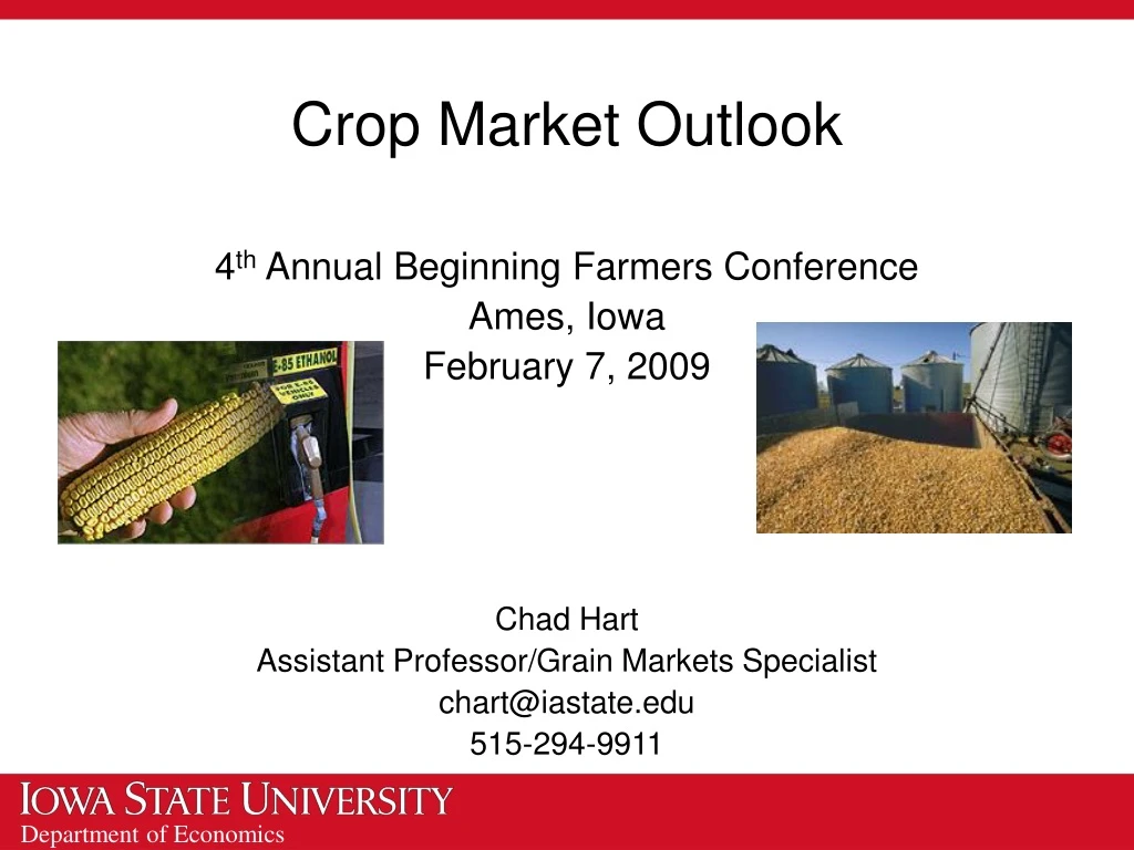 crop market outlook