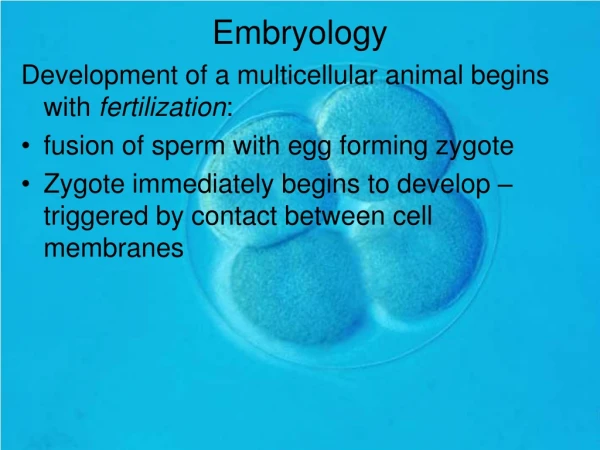 Embryology