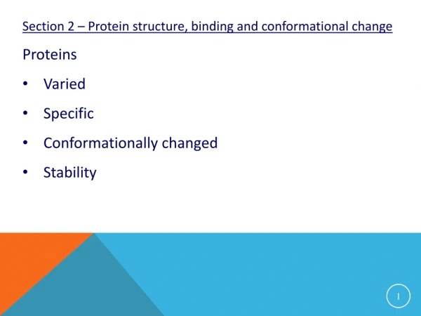 Section 2 – Protein structure, binding and conformational change Proteins Varied Specific