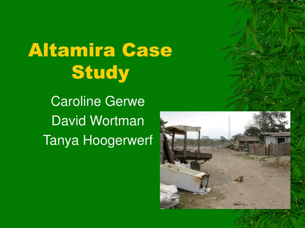 altamira case study