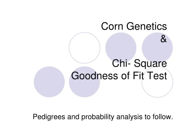 Corn Genetics  &amp; Chi- Square  Goodness of Fit Test