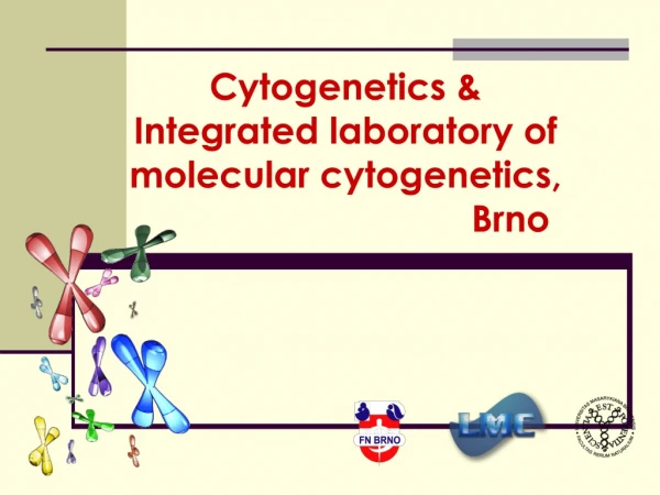 Cytogenetics  &amp; Integrated laboratory of molecular cytogenetics,