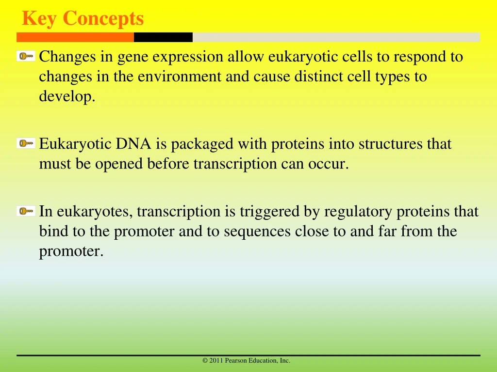 key concepts