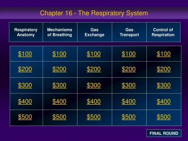 Chapter 16 - The Respiratory System