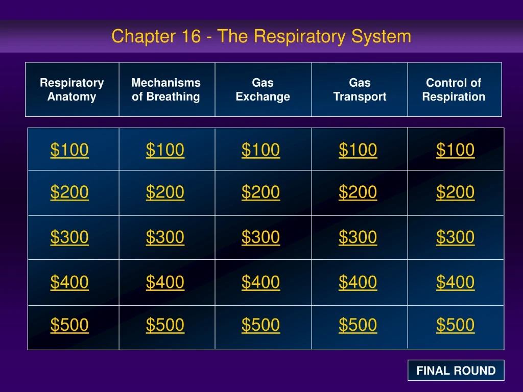 chapter 16 the respiratory system