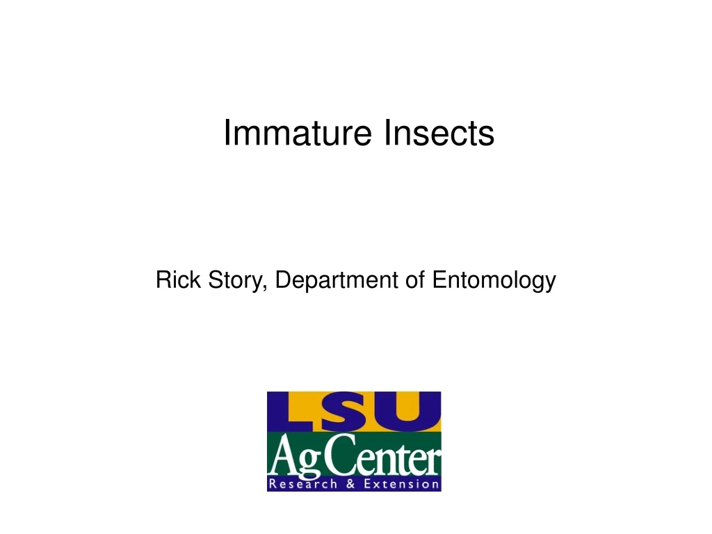 immature insects