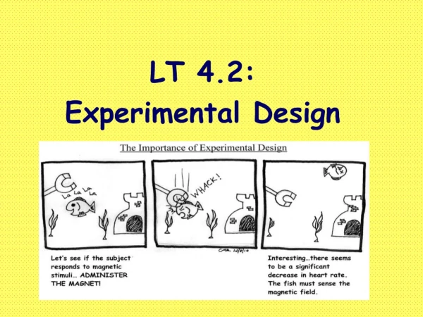 LT 4.2: Experimental Design