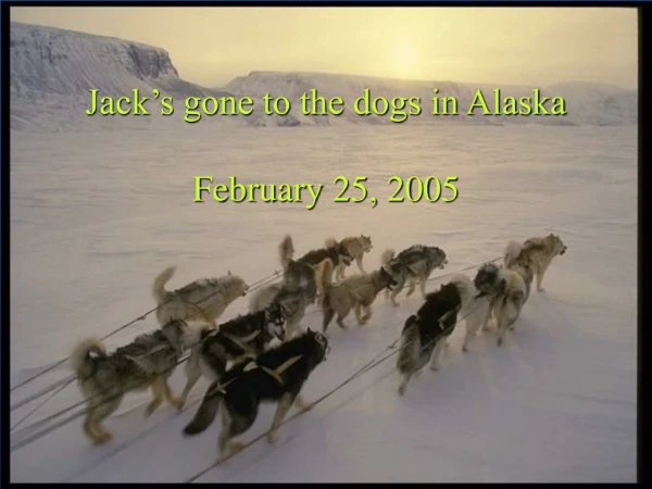 Jack’s gone to the dogs in Alaska February 25, 2005