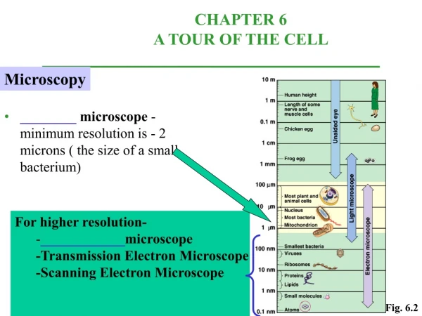 ________  microscope  -minimum resolution is - 2 microns ( the size of a small bacterium)