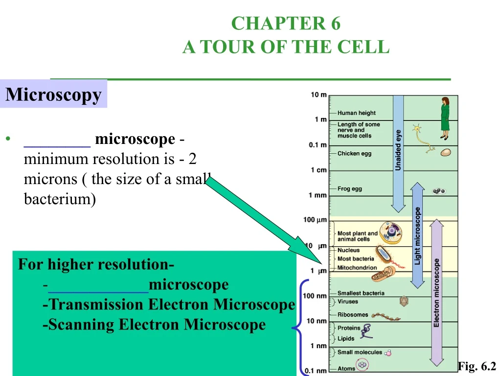 microscope minimum resolution is 2 microns