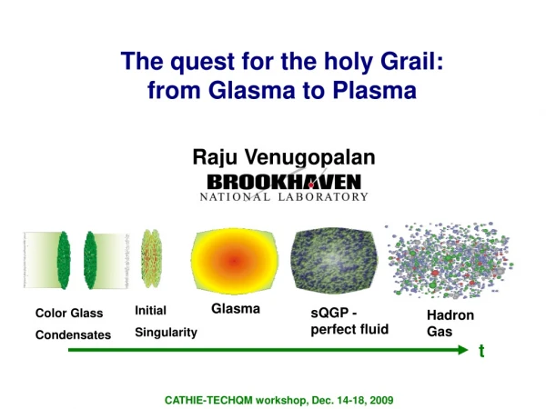 The quest for the holy Grail:  from Glasma to Plasma