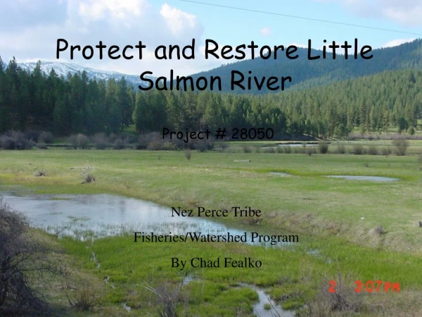 Protect and Restore Little Salmon River