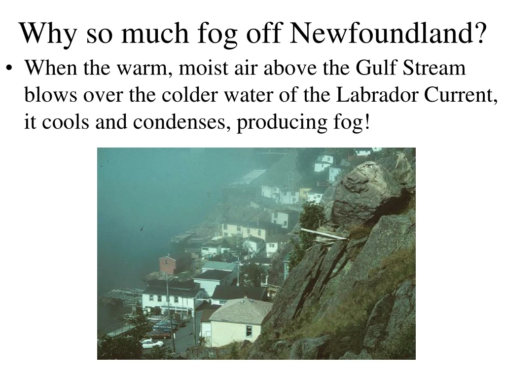 why so much fog off newfoundland