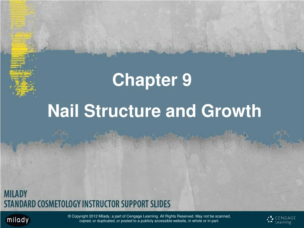 chapter 9 nail structure and growth