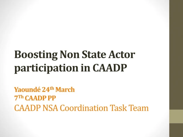 Why Non-State Actors?