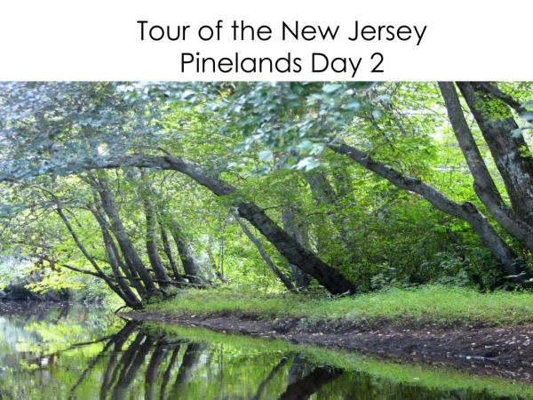 Tour of the New Jersey Pinelands Day 2